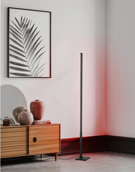 Eglo 75654 - Lampada da terra LED RGB dimmerabile LED/13,5W/230V 2700-6500K + tc