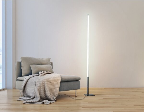 Eglo 75653 - Lampada da terra LED dimmerabile PICACHA LED/14W/230V 2700-6500K + tc