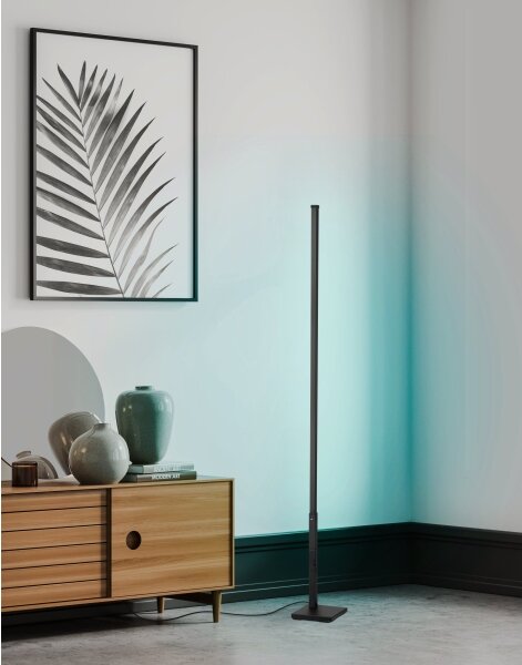 Eglo 75654 - Lampada da terra LED RGB dimmerabile LED/13,5W/230V 2700-6500K + tc