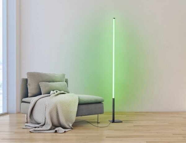 Eglo 75654 - Lampada da terra LED RGB dimmerabile LED/13,5W/230V 2700-6500K + tc