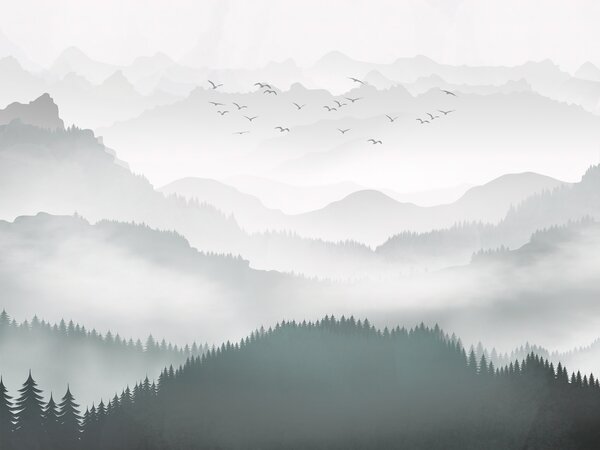 Carta da parati Montagne nella nebbia e un pacchetto di uccelli, Carta da parati Foresta, Carta da parati Foresta Nebbiosa, u94300 : Uwalls.it