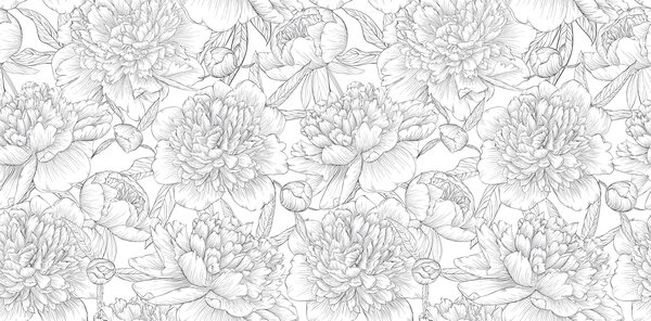 Carta da parati schizzo ad acquerello, Carta da parati Floreale, Carta da parati Peonie, u70664 : Uwalls.it