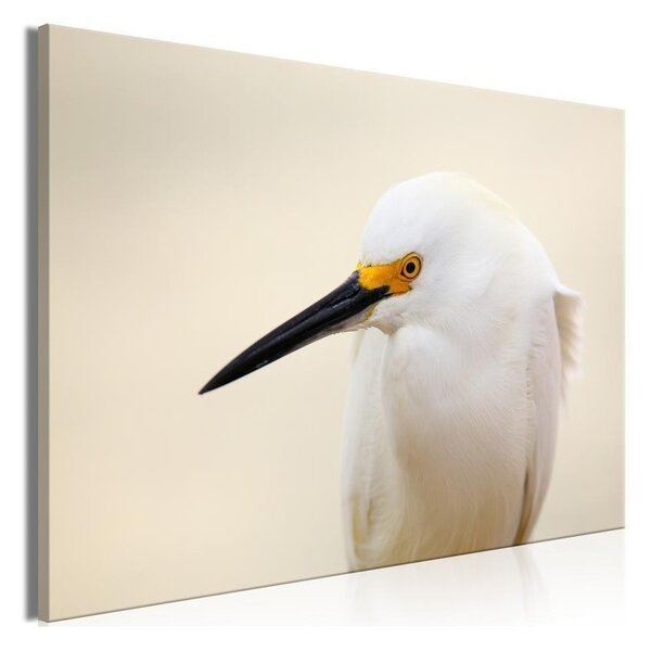 Quadro Snowy Egret (1 Part) Wide