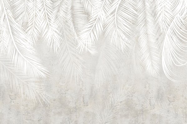 Carta da parati Foglie di palma fragili bianche con texture grunge, Carta da parati Foresta, Carta da parati Tropici della Foresta, u94286 : Uwalls.it