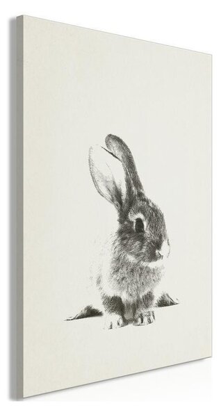 Quadro Fluffy Bunny (1 Part) Vertical