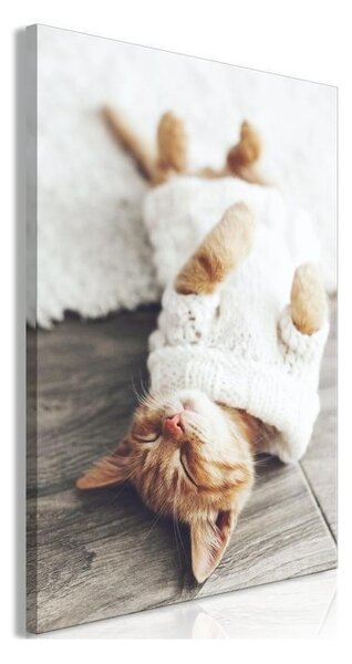 Quadro Lazy Cat (1 Part) Vertical