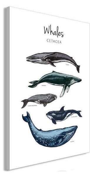 Quadro Whales (1 Part) Vertical