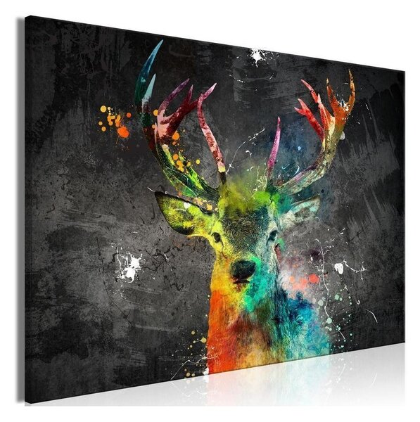 Quadro Rainbow Deer (1 Part) Wide
