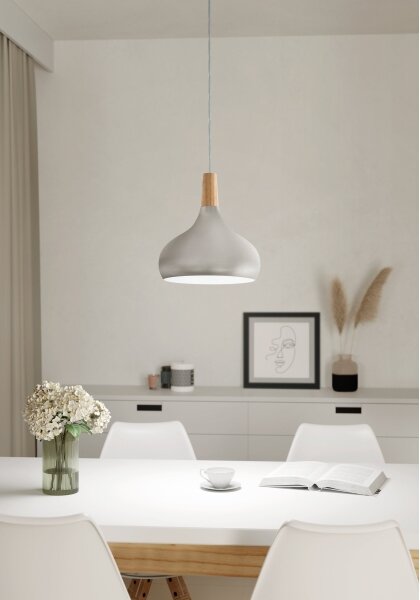 Eglo 96985 - Lampada a sospensione SABINAR 1xE27/60W/230V 280mm argento