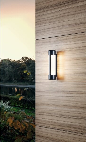 Eglo 97119 - Applique a LED da esterno TONEGO 2xLED/6W/230V