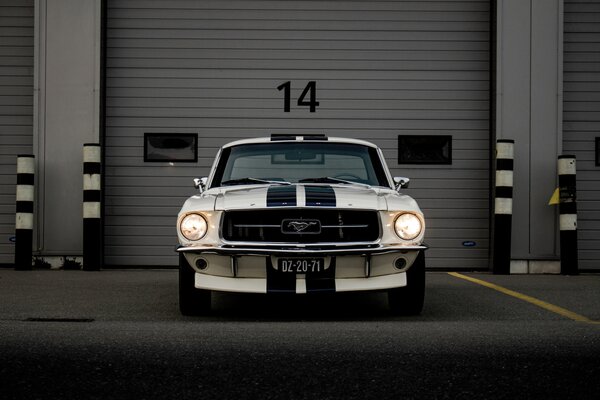 Carta da parati 1970 Ford Mustang, Carta da parati Tecnica e trasporto, u95536 : Uwalls.it