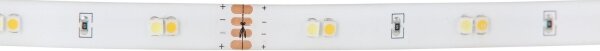 Eglo 97927 - Striscia LED RGB dimmerabile FLEX LED/10W/230V IP20 2m