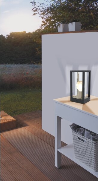 Eglo 98714 - Lampada da esterno CASCINETTA 1xE27/40W/230V IP54