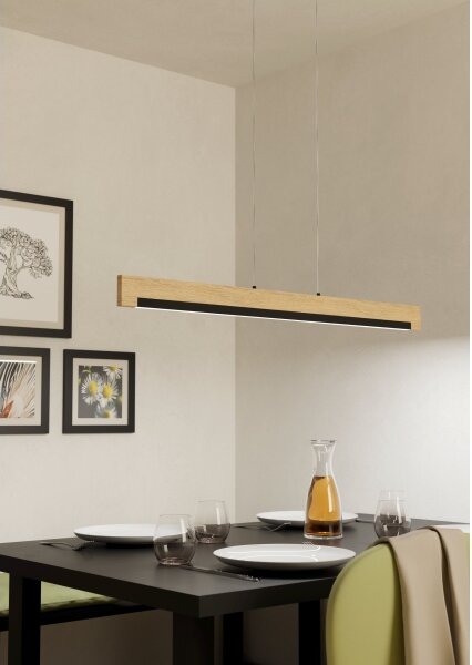 Eglo 99293 - Lampadario a sospensione con filo LED dimmerabile CAMACHO LED/25,5W/230V