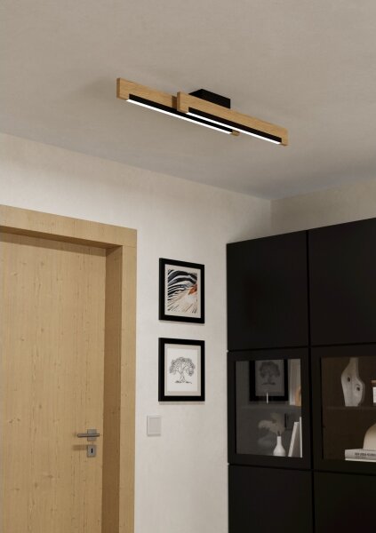 Eglo 99292 - Plafoniera LED dimmerabile CAMACHO 2xLED/10W/230V