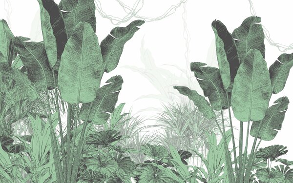 Carta da parati Foglie di banano verde e boschetti tropicali, Carta da parati Natura, u96731 : Uwalls.it