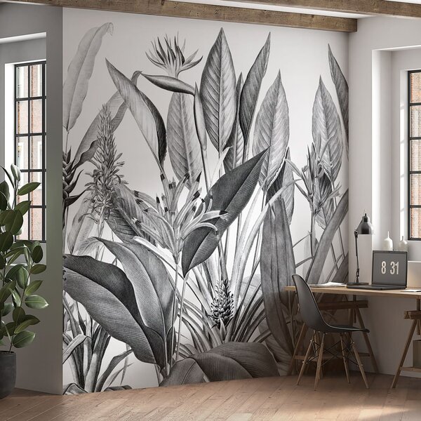 Carta da parati Piante della giungla tropicale colore bianco e nero, Carta da parati in Bianco e Nero, u96833 : Uwalls.it