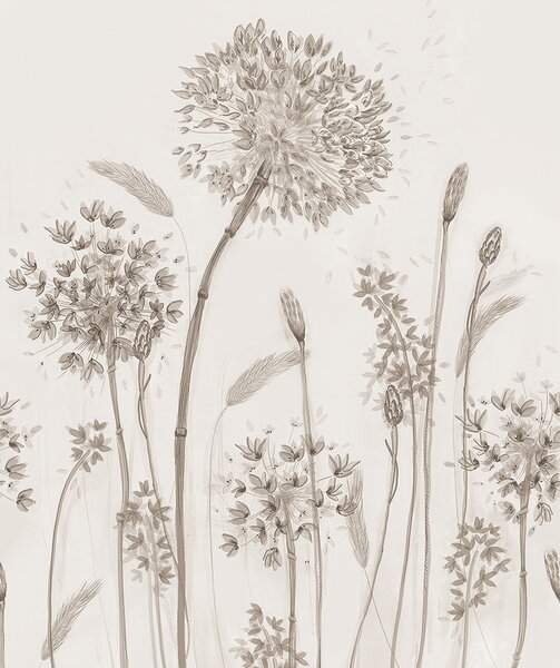 Carta da parati Grandi fiori di prato di denti di leone minimalismo loft in stile monocromatico, Carta da parati Floreale, u96934 : Uwalls.it