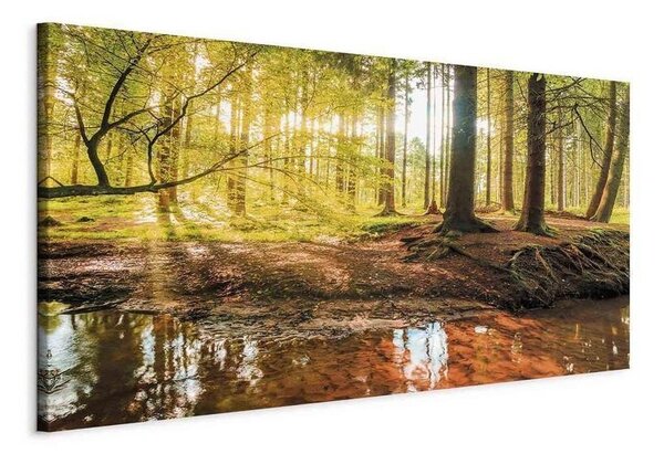 Quadro Autumnal Reverie