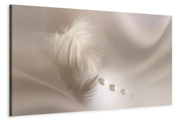 Quadro Delicate Feather