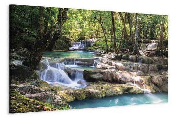 Quadro Nature Forest Waterfall