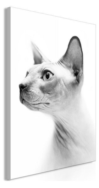 Quadro Hairless Cat (1 Part) Vertical