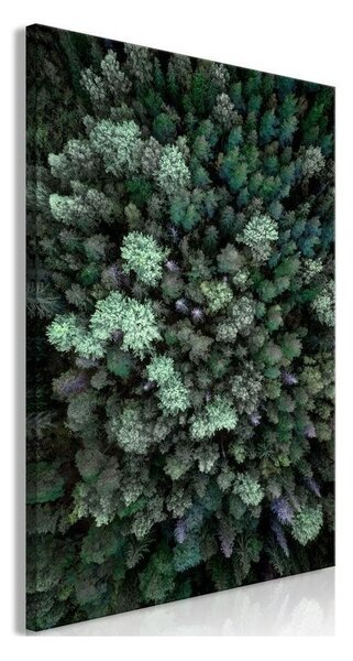 Quadro Flying Over Forest (1 Part) Vertical