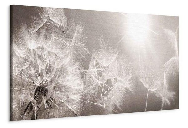 Quadro Summer Dandelions