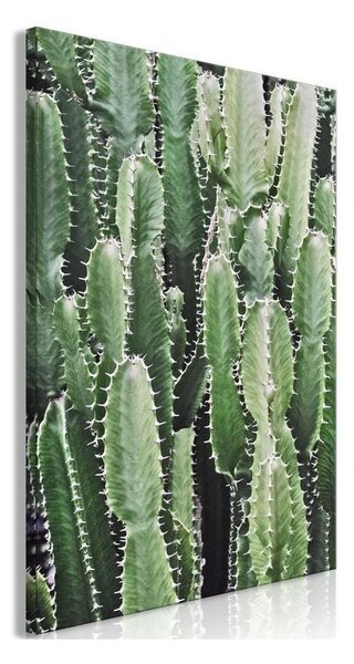 Quadro Cactus Garden (1 Part) Vertical
