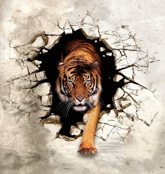 Carta da parati tigre 3D, Carta da parati 3D, u97031 : Uwalls.it