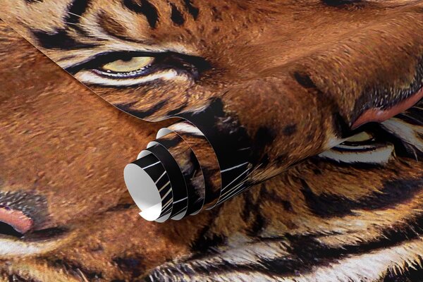 Carta da parati tigre 3D, Carta da parati 3D, u97031 : Uwalls.it