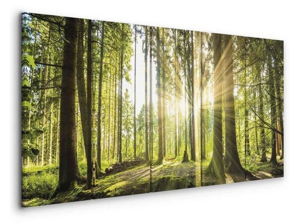 Quadro Sunlight