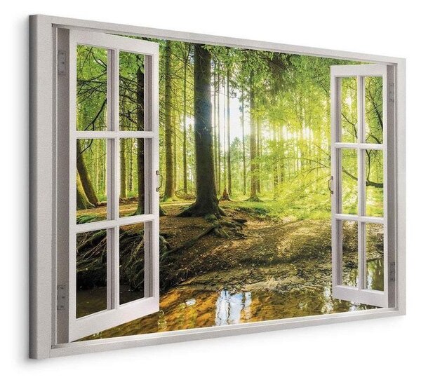 Quadro Window View on Forest
