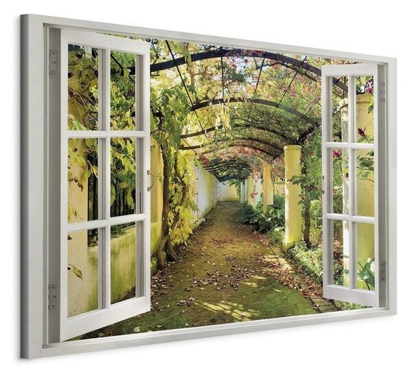 Quadro Window View on Pergola