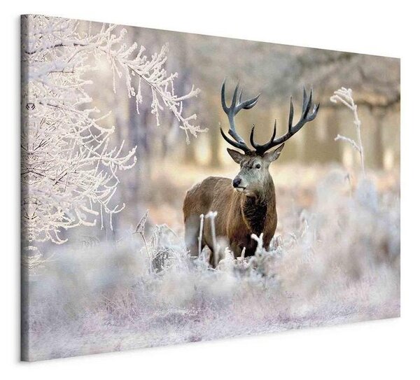 Quadro Deer in the Cold