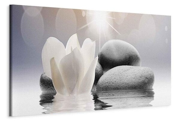Quadro Pebbles in Water (1 Part) Narrow