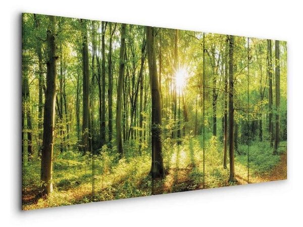 Quadro Magic Forest