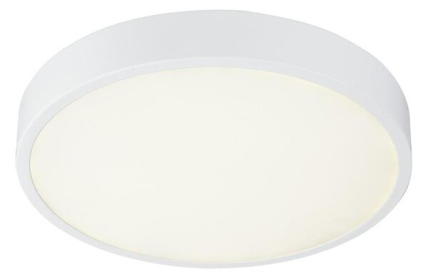 Globo 12364-30 - Lampada da bagno LED dimmerabile LED/28W/230V IP44