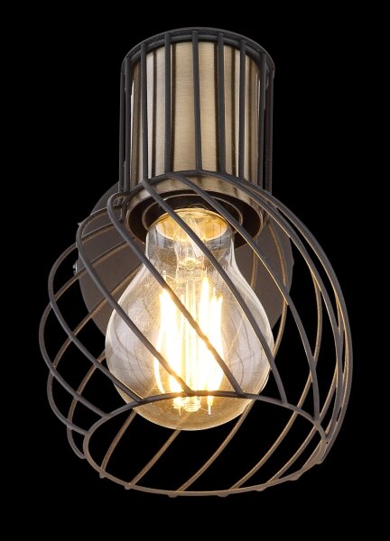 Globo 54013-1 - Luce Spot da parete ARGUSTO 1xE27/40W/230V