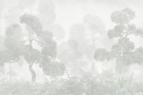 Carta da parati Alberi e foglie tropicali, Carta da parati Foresta, Carta da parati Tropici della Foresta, u97399 : Uwalls.it