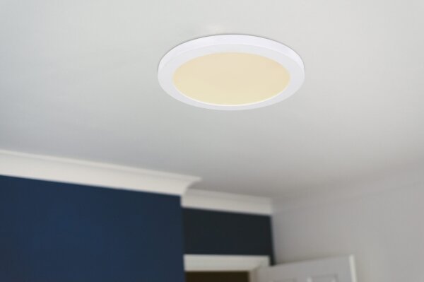 Globo 12379-24W - Plafoniera LED LASSE LED/24W/230V