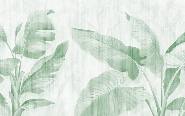 Carta da parati Foglie tropicali di grunge in verde, Carta da parati Natura, u00299v4 : Uwalls.it