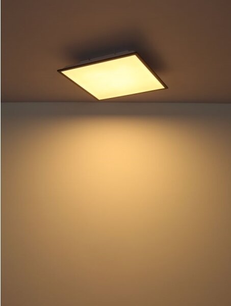 Globo 416080D2 - Plafoniera LED DORO LED/24W/230V