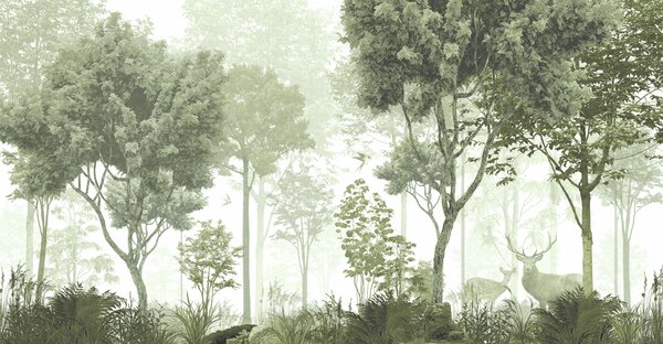 Carta da parati Foresta magica nel verde, Carta da parati Natura, u72134v2 : Uwalls.it