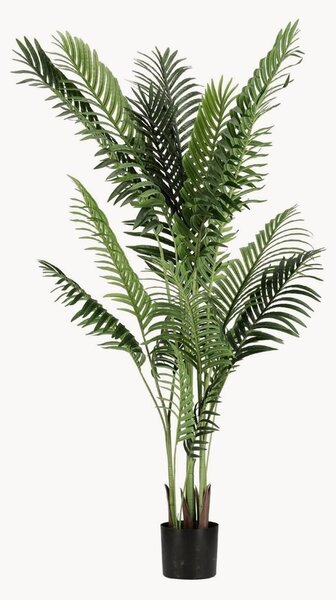 Pianta artificiale da esterno Kenzia, alt. 160 cm