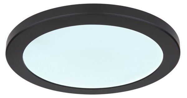 Globo 12379-24B - Plafoniera LED LASSE LED/24W/230V