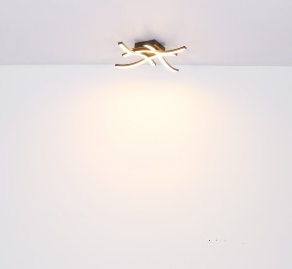 Globo 67171-20 - Lampadario a plafone LED EVITA 4xLED/5W/230V
