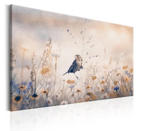 Quadro August Melody