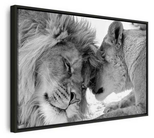 Quadro Lion's Love