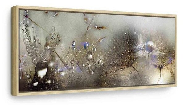 Quadro Nature Sounds